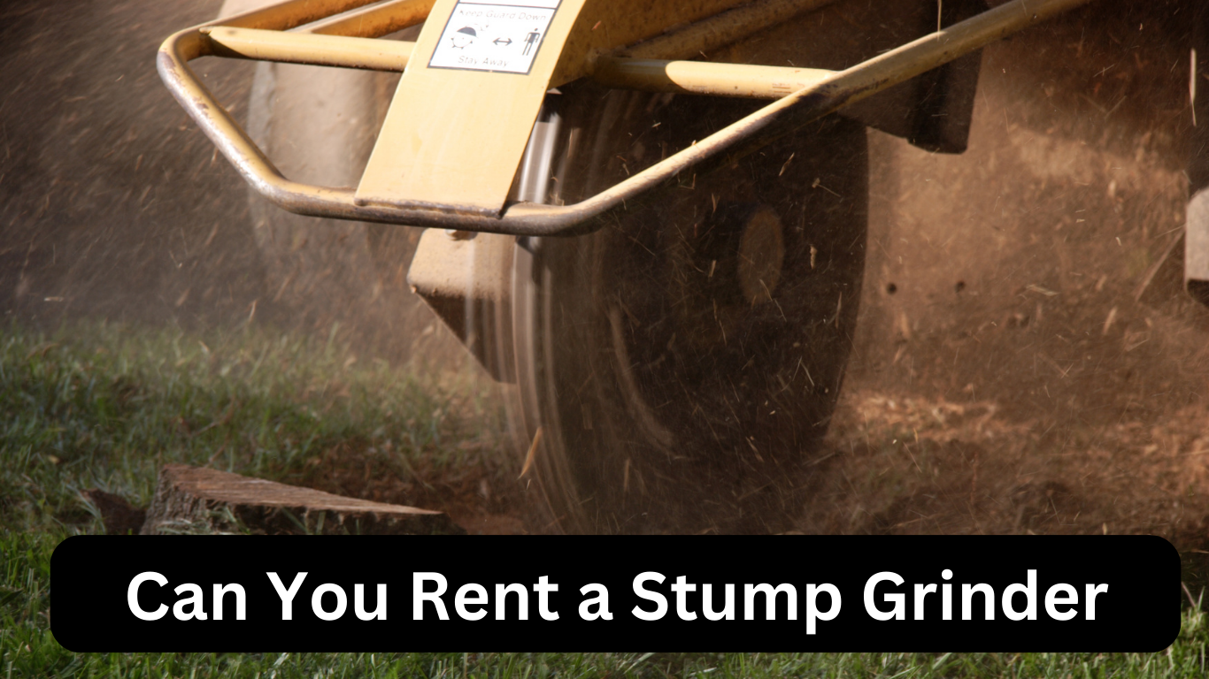 Can You Rent a Stump Grinder