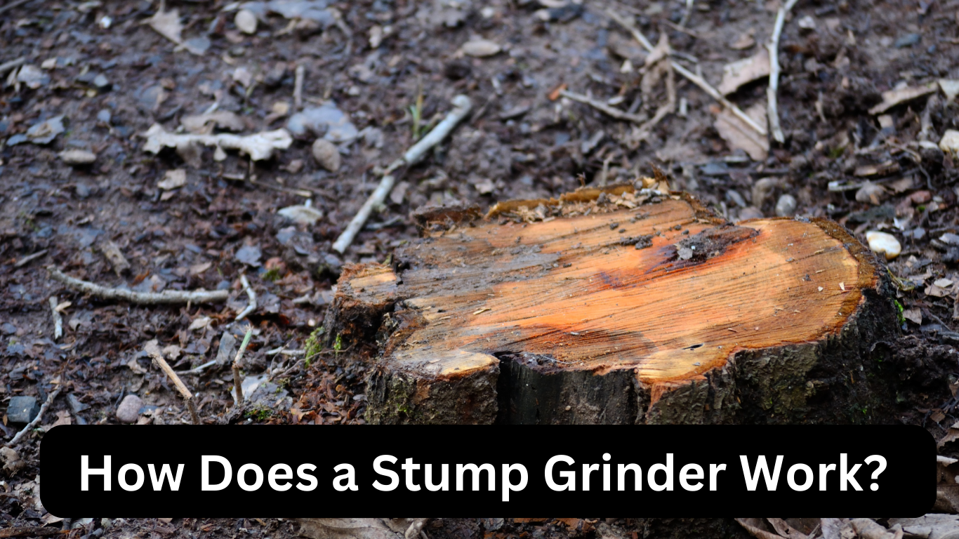 How Does a Stump Grinder Work