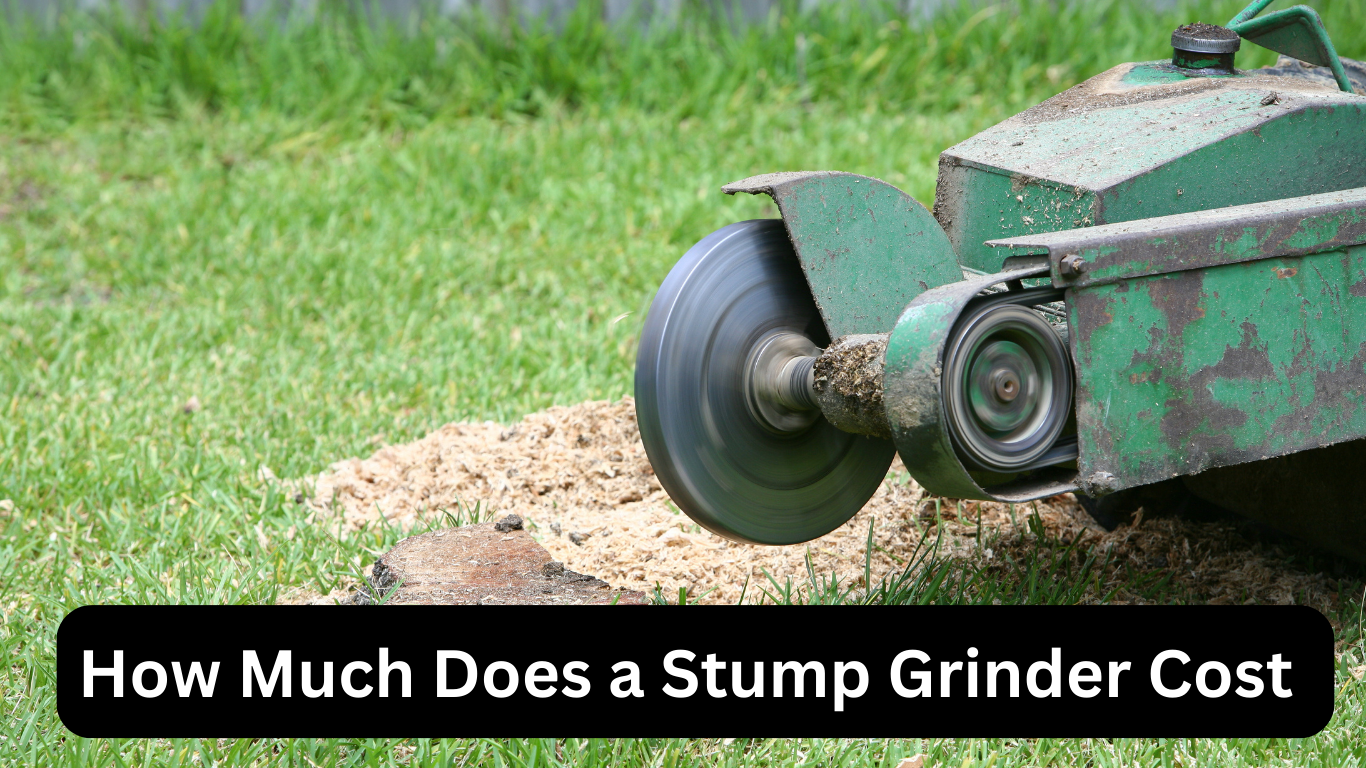 How Much Does a Stump Grinder Cost