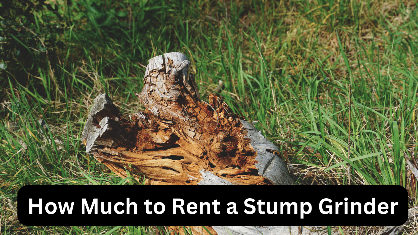 How Much to Rent a Stump Grinder