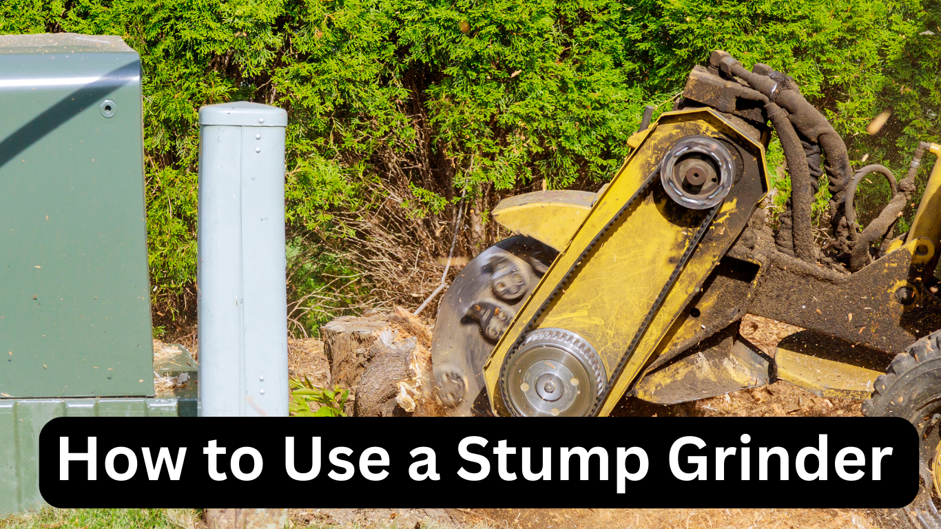 How to Use a Stump Grinder
