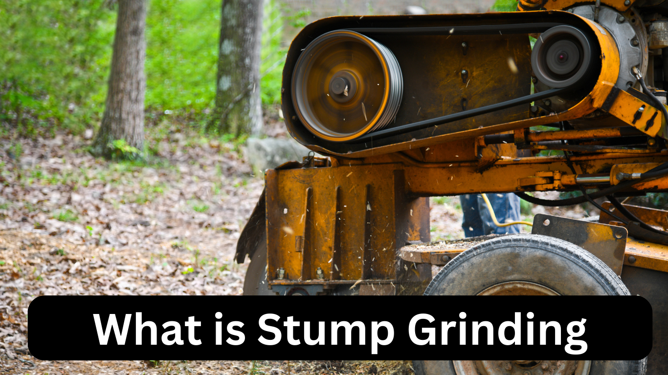 What is Stump Grinding