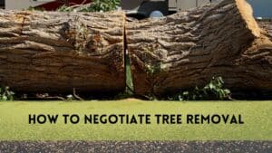 How to Negotiate Tree Removal?
