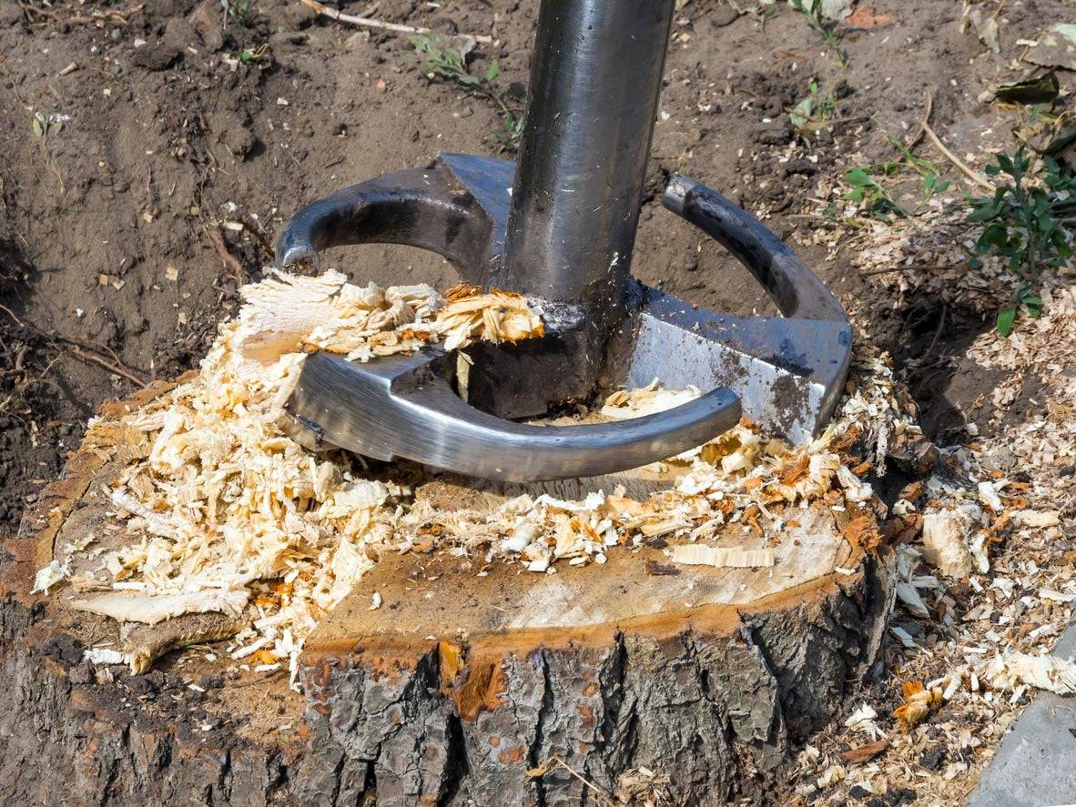 Tree Stump Removal Cost Types of Tree Stump Removal